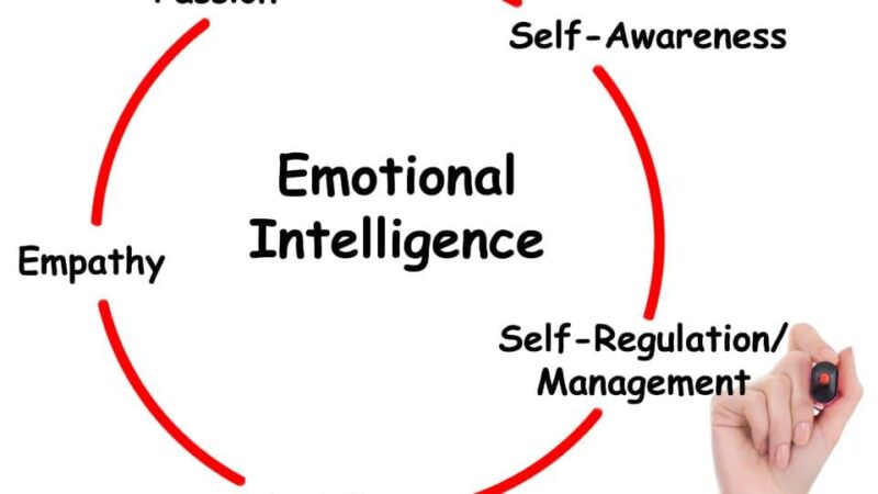 אינטליגנציה רגשית